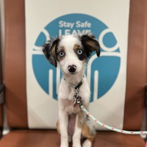 Meet your Posher, Janice